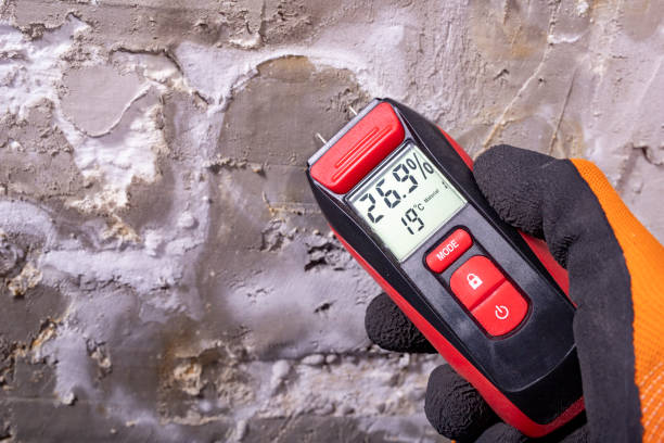 Best Water Damage Restoration  in Shorewood, WI