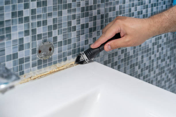 Best Local Mold Removal Service  in Shorewood, WI